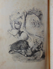 Load image into Gallery viewer, 1877 Adventure Stories, The Australian Crusoes and The Wolf Boy of China