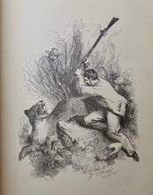Load image into Gallery viewer, 1877 Adventure Stories, The Australian Crusoes and The Wolf Boy of China