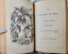 Load image into Gallery viewer, 1877 Adventure Stories, The Australian Crusoes and The Wolf Boy of China