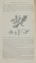 Load image into Gallery viewer, Pereira. The Elements of Materia Medica and Therapeutics, Organic Substances