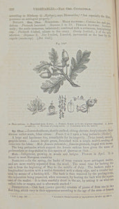 Pereira. The Elements of Materia Medica and Therapeutics, Organic Substances