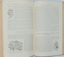 Load image into Gallery viewer, Pereira. The Elements of Materia Medica and Therapeutics, Organic Substances
