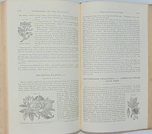Pereira. The Elements of Materia Medica and Therapeutics, Organic Substances