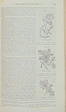 Load image into Gallery viewer, Pereira. The Elements of Materia Medica and Therapeutics, Organic Substances