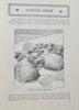 White, Alma. Gems of Life: Short Stories for Children