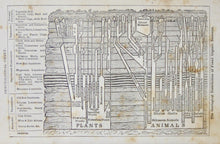 Load image into Gallery viewer, Page. Elements of Geology (Chambers&#39; Educational Course, Number VII) 1850