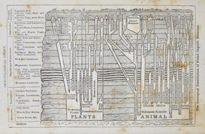 Page. Elements of Geology (Chambers' Educational Course, Number VII) 1850