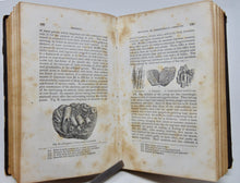 Load image into Gallery viewer, Page. Elements of Geology (Chambers&#39; Educational Course, Number VII) 1850