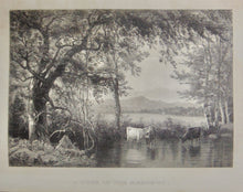 Load image into Gallery viewer, The Ladies&#39; Repository for 1866, fine engravings