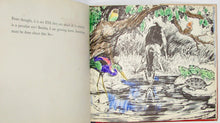 Load image into Gallery viewer, Peter the Goat. Written and Drawn by Diana Thorne