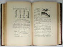 Load image into Gallery viewer, The Works of Francis Maitland Balfour (4 volume set)