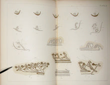Load image into Gallery viewer, The Works of Francis Maitland Balfour (4 volume set)