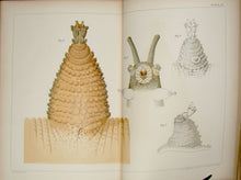 Load image into Gallery viewer, The Works of Francis Maitland Balfour (4 volume set)