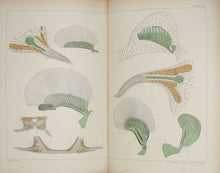 Load image into Gallery viewer, The Works of Francis Maitland Balfour (4 volume set)