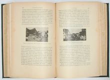Load image into Gallery viewer, Pellegrini, Battista. Verso La Guerra? Il Dissidio fra L&#39;Italia e L&#39;Austria. Con 134 incisioni