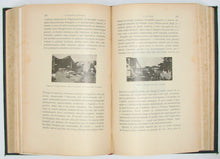 Load image into Gallery viewer, Pellegrini, Battista. Verso La Guerra? Il Dissidio fra L&#39;Italia e L&#39;Austria. Con 134 incisioni