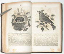 Load image into Gallery viewer, The Leisure Hour Book; embracing Sketches in Natural History; Adventures and Incidents of Travel in Foreign Lands; Personal Narratives; &amp;c.