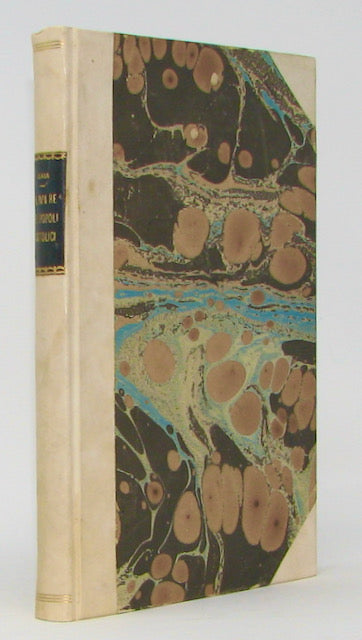 Isaia, Antonino. Il Papa Re e I Popoli Cattolici, Innanzi al Concilio (1869)