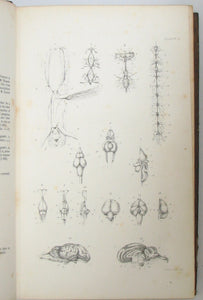 Carpenter. 1846 Elements of Physiology, 180 illustrations