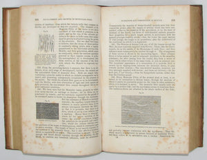 Carpenter. 1846 Elements of Physiology, 180 illustrations