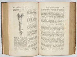 Carpenter. 1846 Elements of Physiology, 180 illustrations