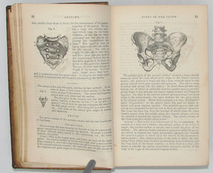 Neill & Smith. An Analytical Compendium of the various branches of Medical Science, 374 illustrations