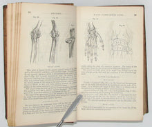 Load image into Gallery viewer, Neill &amp; Smith. An Analytical Compendium of the various branches of Medical Science, 374 illustrations