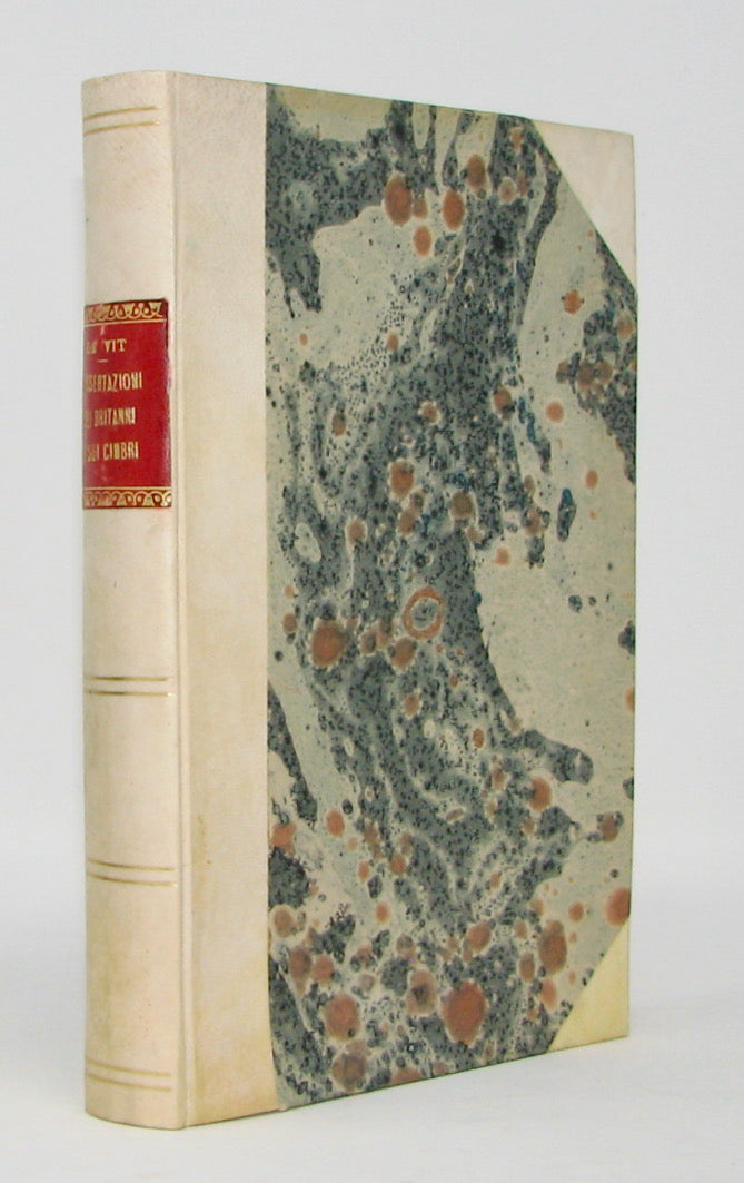 De-Vit, Vincenzo. Dissertazioni sui Britanni e sui Cimbri coll'aggiunta di tre articoli archeologici (1881)