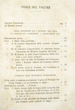 Load image into Gallery viewer, De-Vit, Vincenzo. Dissertazioni sui Britanni e sui Cimbri coll&#39;aggiunta di tre articoli archeologici (1881)