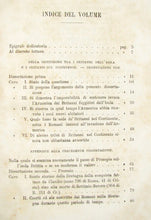 Load image into Gallery viewer, De-Vit, Vincenzo. Dissertazioni sui Britanni e sui Cimbri coll&#39;aggiunta di tre articoli archeologici (1881)
